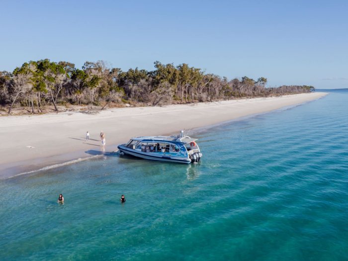 Eco marine Sunset Sessions tour departing from Kingfisher Bay Resort